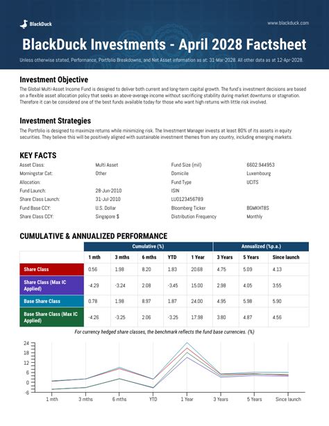 equity research report template